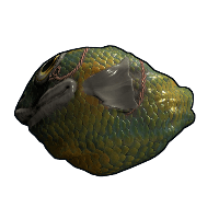 Fish Rock