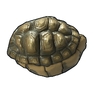 Tortoise Rock