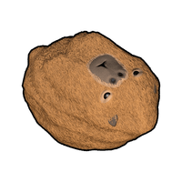 Capybara Rock