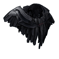 Raven Poncho