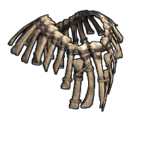 Bone Armor Poncho