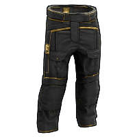 Black Gold Pants