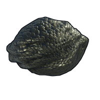 Dragon Egg