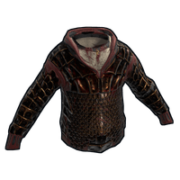 Berserker Hoodie